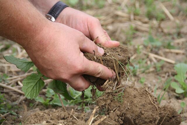 Die Pfaffenhofener Bodenallianz hat das Ziel, gemeinsam mit Bürgern und Landwirten gesunde, fruchtbare Böden und die biologische Vielfalt zu fördern. Derzeit zählt die Bodenallianz rund 100 Mitglieder.