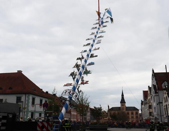 Der Maibaum wird von der Freiwilligen Feuerwehr aufgestellt.