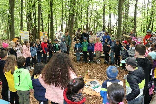 Das Klassenzimmer im Wald.