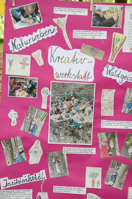 Ein Ergebnisplakat der Waldwoche.