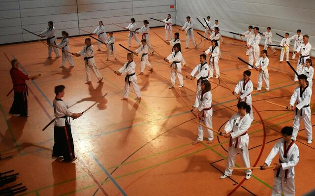 Schwerttechnik: Haltung und Stellungen, Regeln zur Sicherheit, Schlag- und Schnitt-Techniken