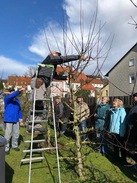 Der Obst- und Gartenbauverein gibt vor Ort u. a. wertvolle Tipps zum Umtopfen von Gemüsepflanzen. | Foto: Obst- und Gartenbauverein Pfaffenhofen
