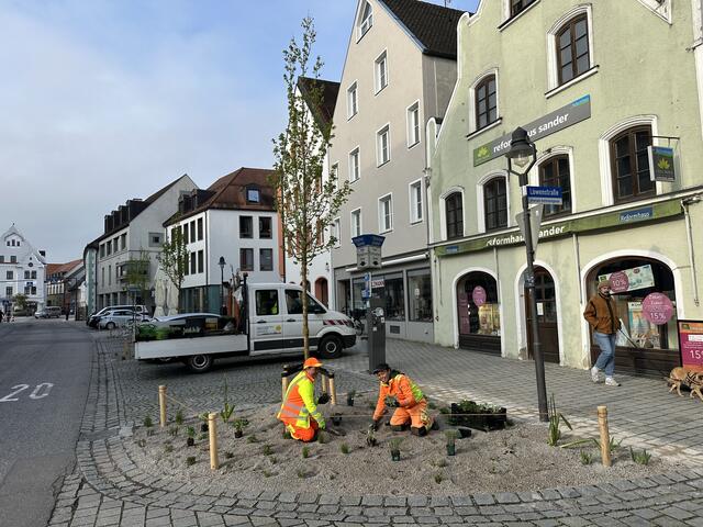 In der Ingolstädter Straße sind nun
Blumeninseln entstanden, die
gleichzeitig der Versickerung desSeite 3 von 3
Wassers nach starken Regenfällen
dienen. | Foto: Stadtwerke Pfaffenhofen