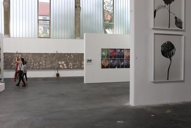 So ließen die Besucherinnen und Besucher in der Kunsthalle die Pflanzen-Bilder von Günter Derleth auf sich wirken und probierten selbst eine Lochkamera aus.  | Foto: Stadt Pfaffenhofen
