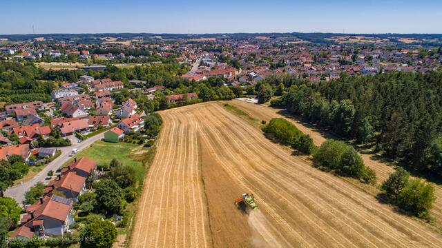 Das Getreide für die Volksfest-Brezen wächst vor der Haustüre.