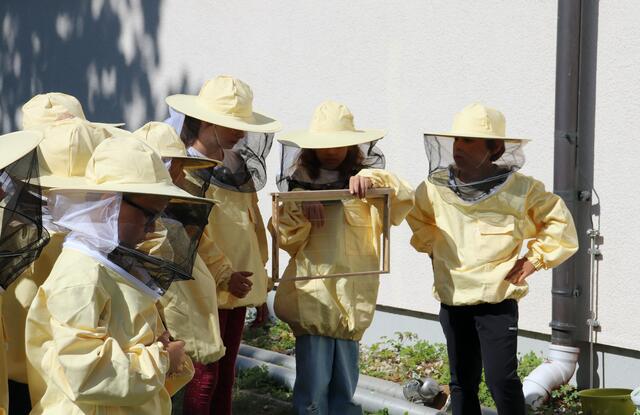 Die Kinder werfen einen Blick in ihren Bienenstock.