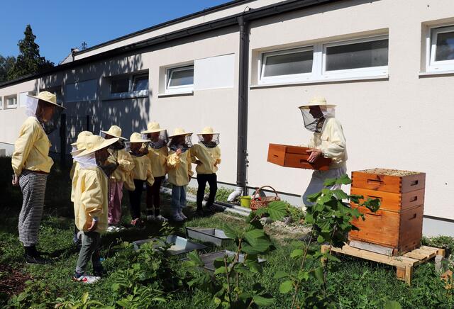 Die Kinder werfen einen Blick in ihren Bienenstock.