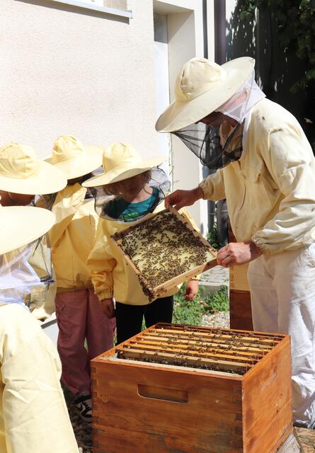 Die Kinder werfen einen Blick in ihren Bienenstock.