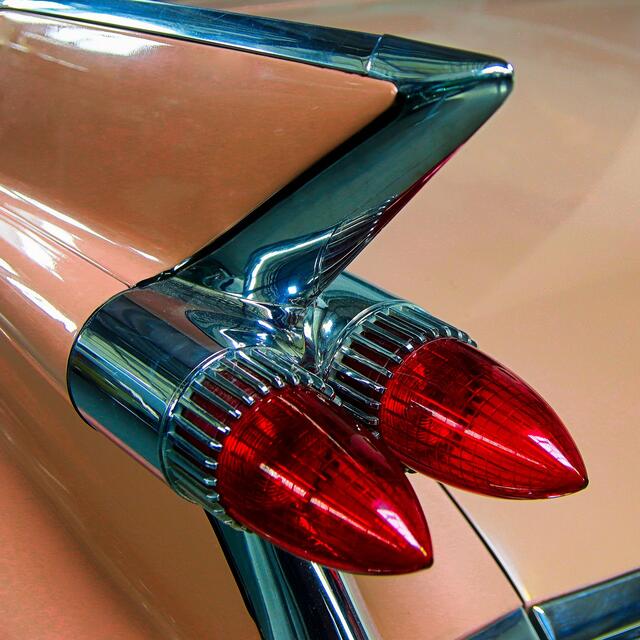 Michael Harries - Hechflosse | Foto: Michael Harries