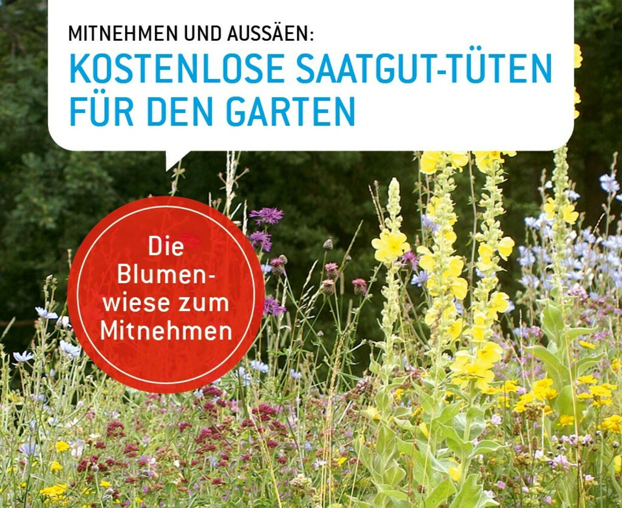 künstliche wimpern ohne kleber Falsche magnetische Wimpern ohne Klebstoff - Schnelle Anwendung &  natürlicher Effekt main image 1