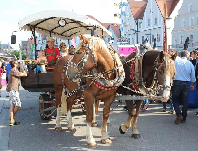 Die Pferdekutsche steht am Nachmittag für eine Rundfahrt berfeit. 