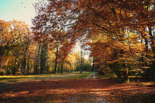 Christian Kaindl I Ohne Titel | Foto: Christian Kaindl