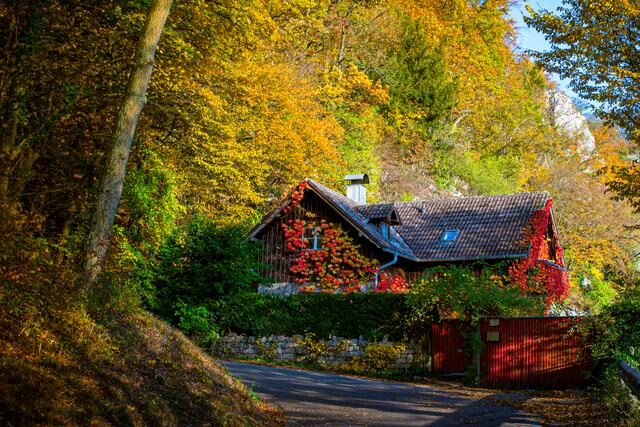 Günther Köchel I NäheWeltenburg | Foto: Günther Köchel 