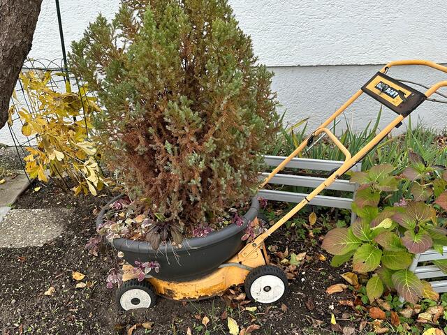 Einen ausgedienten Rasenmäher hatJosef Haberer zu einem  fahrbaren Blumenständer umfunktioniert.