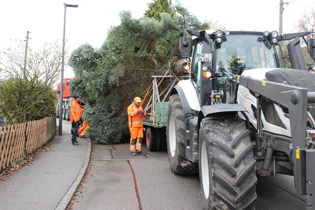 Anschließend wurde er zum Pfaffenhofener Hauptplatz transportiert.