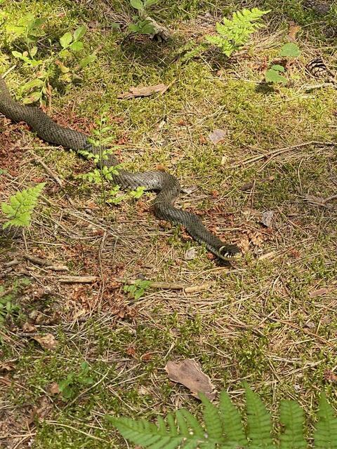 Foto: Nicola Schroers WBV Pfaffenhofen