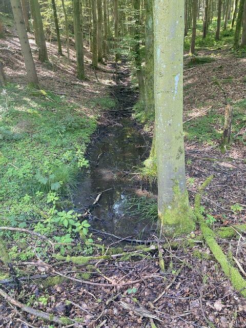 Foto: Nicola Schroers WBV Pfaffenhofen