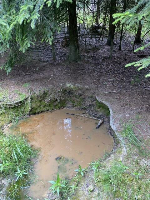 Foto: Nicola Schroers WBV Pfaffenhofen