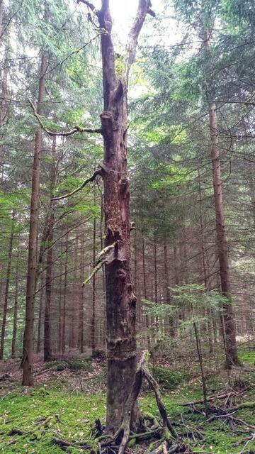 Foto: Nicola Schroers WBV Pfaffenhofen