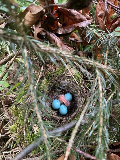 Foto: Nicola Schroers WBV Pfaffenhofen