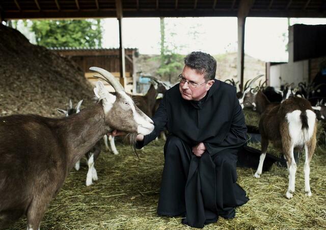 Foto: PAFLand | Sammetinger