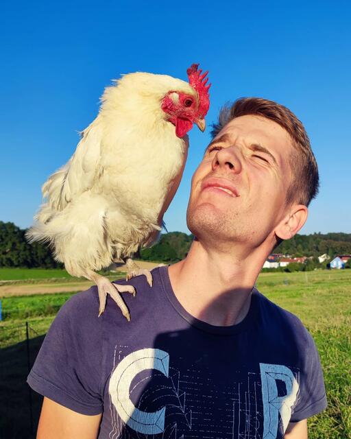 Foto: PAFLand | Sammetinger