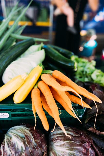 Foto: PAFLand | Sammetinger