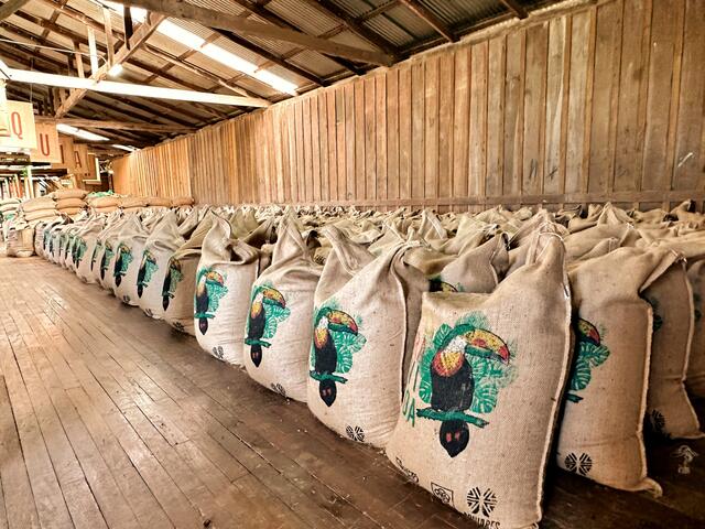 Foto: PAFLand | Sammetinger