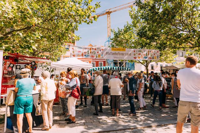 Foto: PAFLand | Sammetinger