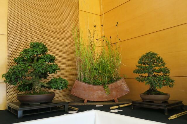 Foto: Rainer Greissl