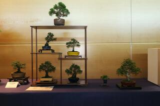 bonsai substrate Hoffman Good Earth Bonsai Soil Mix