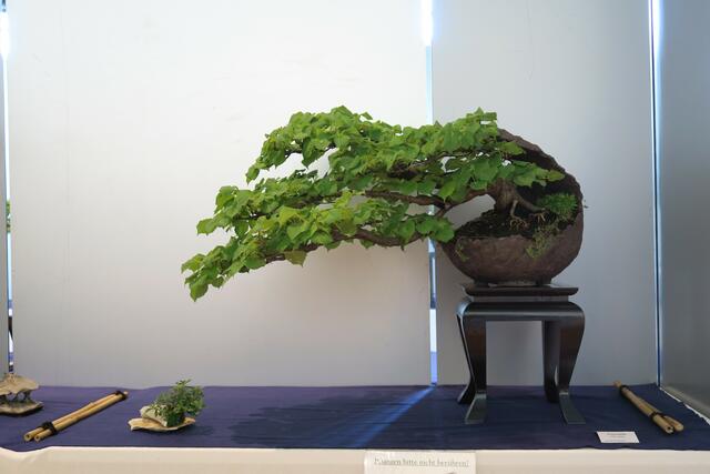 Foto: Rainer Greissl