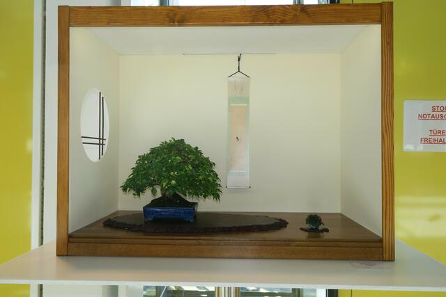 Foto: Rainer Greissl