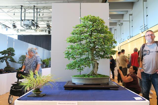 Foto: Rainer Greissl