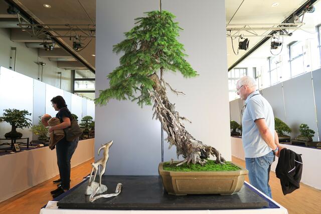 Foto: Rainer Greissl