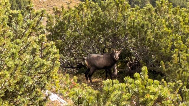 Foto: Mathilde Mader