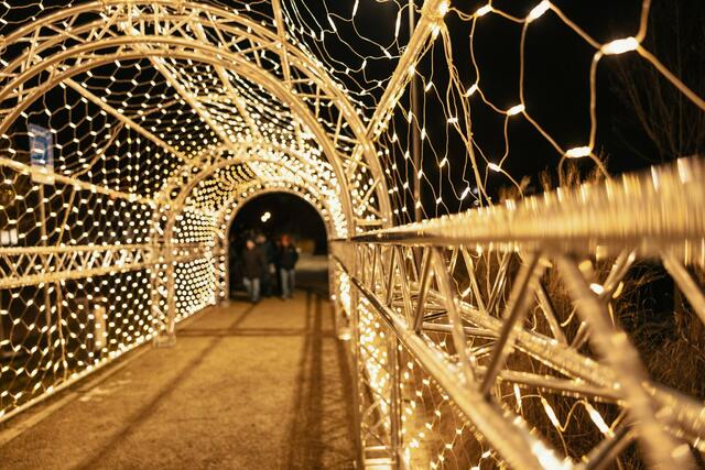 Lichttunnel | Foto: Lukas Sammetinger