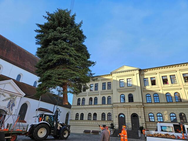 Ein Autokran hob den drei Tonnen schweren Baum an seinen Platz.
 | Foto: © Stadtverwaltung Pfaffenhofen a. d. Ilm
