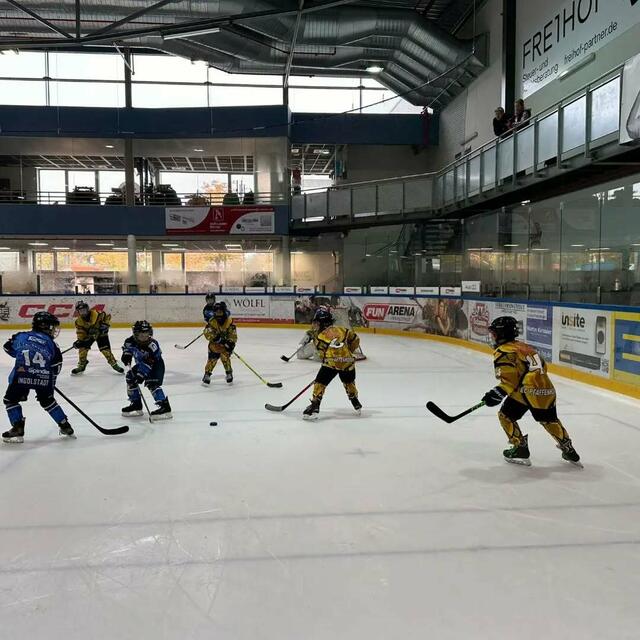Die U11-Eishockey-Spielerinnen und -Spieler beim Spiel gegen ERC Ingolstadt | Foto: ECP Pfaffenhofen
