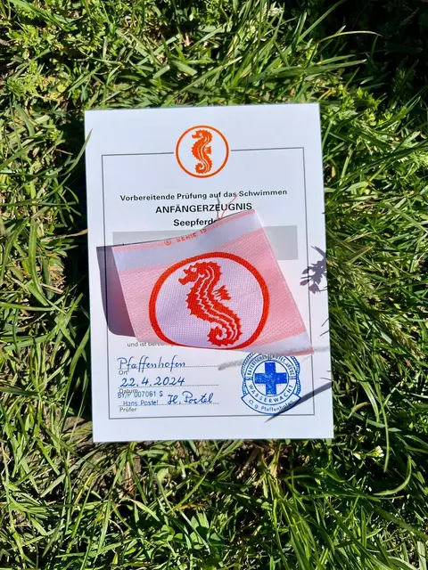 Am Ende des Kurses können die Kinder die Prüfung zum Seepferdchen ablegen.  | Foto: Stadtverwaltung