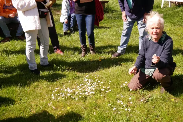Kräuterpädagogin Waltraud Schriever-Schubring beschreibt das Gänseblümchen.