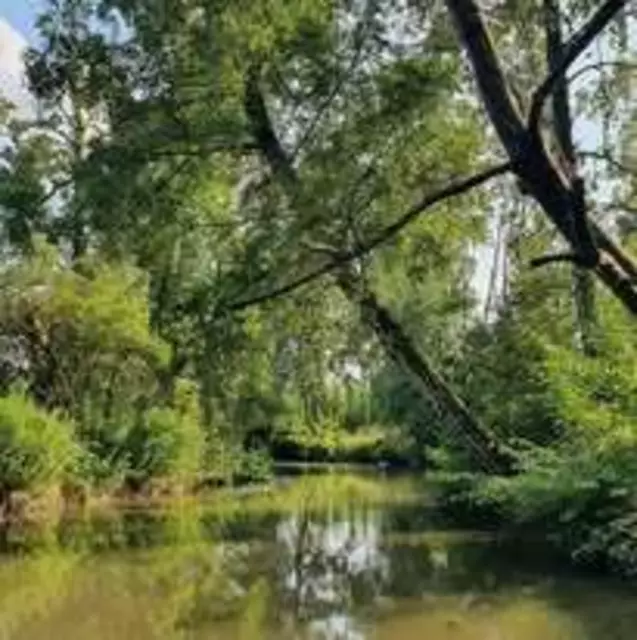 Foto: Urheber der Bilder ist A.p.e. gGmbH & Förderverein