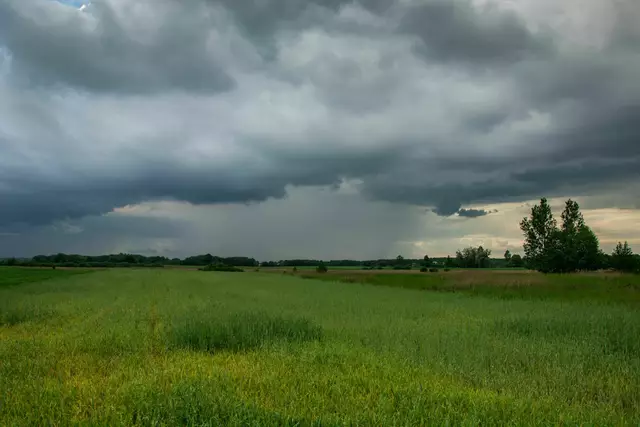 Foto: istock.com/Dariusz Banaszuk