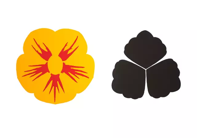 Kapuzinerkresse, Lithografie &amp; Holzschnitt, 35 x 50 cm, 2022
 | Foto: © Sabine Ackstaller