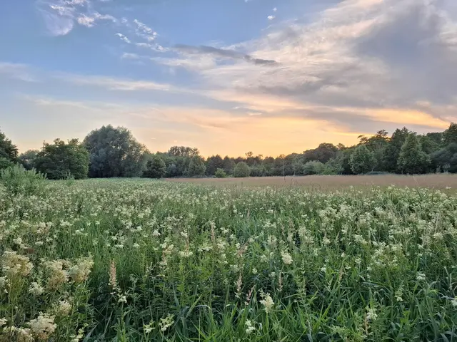 Durch die Neugestaltung des Gerolsbachtals erhält die Natur mehr Platz, während der Mensch die Möglichkeit zur Erholung findet. | Foto: Stadtverwaltung Pfaffenhofen