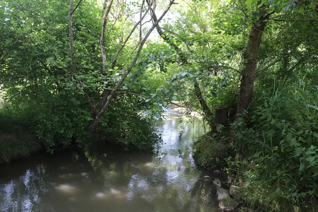 Der Gerolsbach wird im Zuge der Umgestaltung ebenfalls aufgewerten und seine natürliche Fließgeschwindigkeit wieder hergestellt. | Foto: Stadtverwaltung Pfaffenhofen