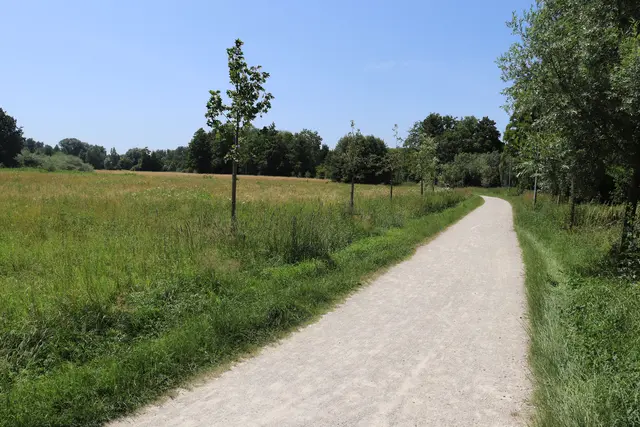Das bestehende Wegenetz wird ergänzt und zusätzliche Bäume sorgen für Schatten.  | Foto: Stadtverwaltung Pfaffenhofen
