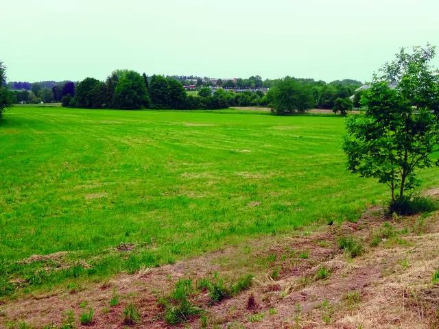 Die Wiesen entlang der südlichen Ilm werden zu Retentionsraum.  | Foto: Stadtverwaltung Pfaffenhofen