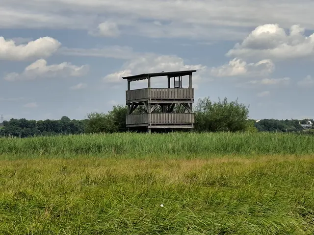 Ein Beobachtungsturm ist ebenfalls geplant.  | Foto: Stadtverwaltung Pfaffenhofen