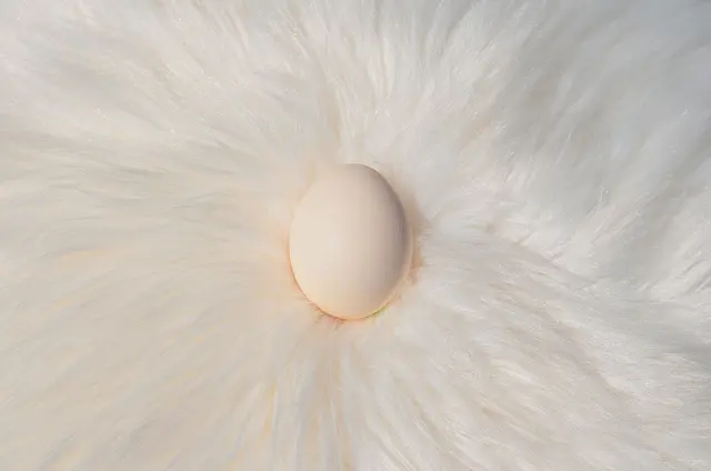 Das Bild des Tages zum Thema „Unberührt“ von Mare Puhl, Elias Novak und Max Müller. | Foto: Mare Puhl, Elias Novak und Max Müller